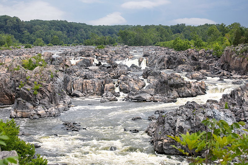 Exploring the Best Hiking Trails in Fairfax County, Virginia