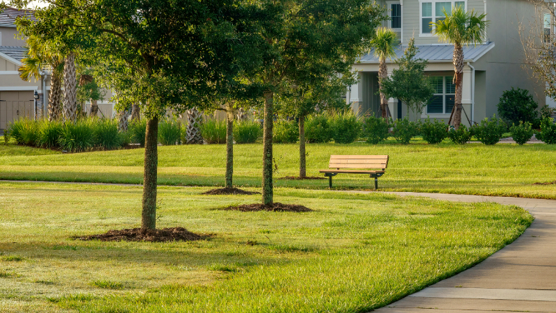 green grass park